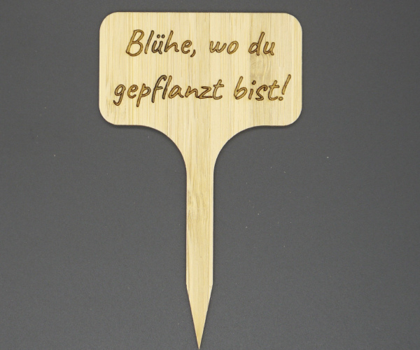 Pflanzenstecker "Blühe, wo du..."